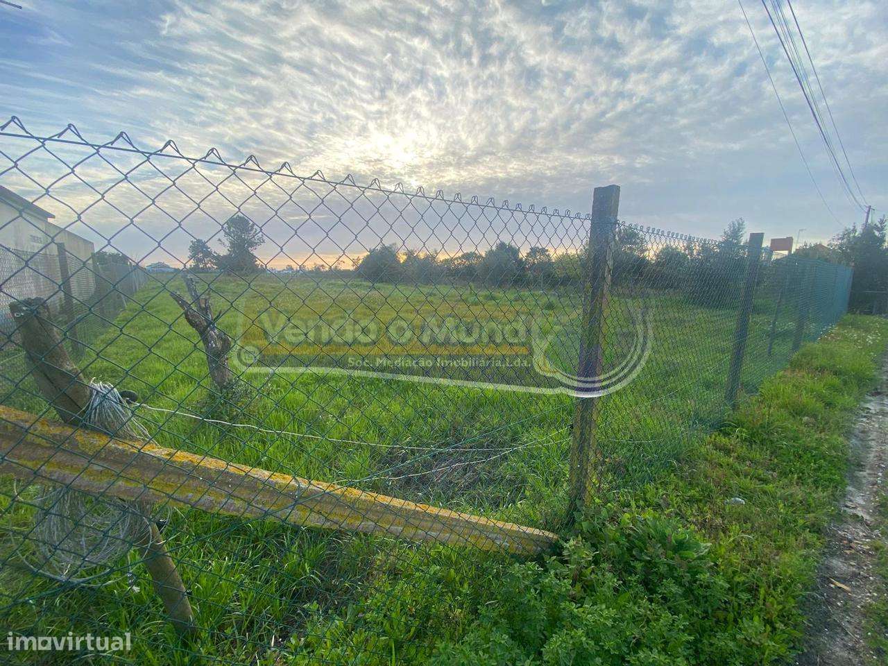 Terreno em Foros de Salvaterra (F831) - Grande imagem: 3/7