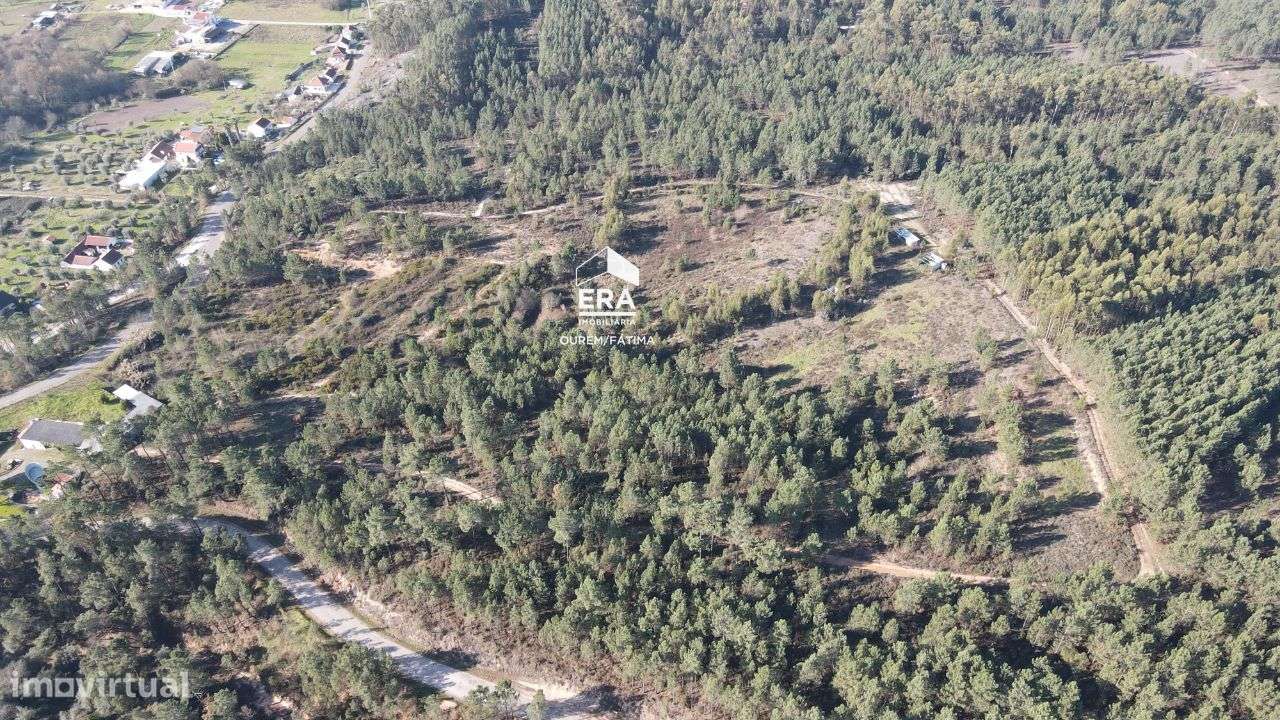 Terreno localizado em Sabacheira! - Grande imagem: 4/17