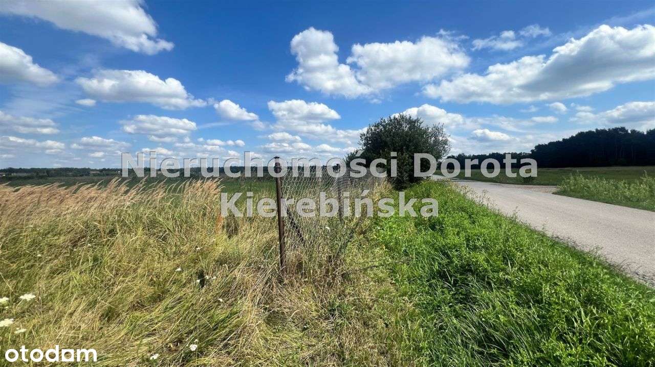 Działki budowlane w Studziankach. - Pełny obrazek: 1/11