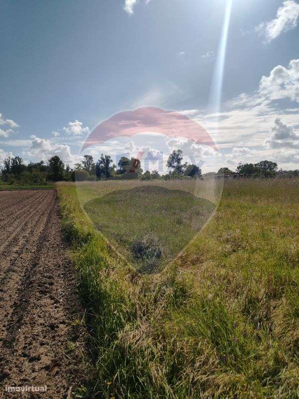 Terreno para Venda - Grande imagem: 3/4