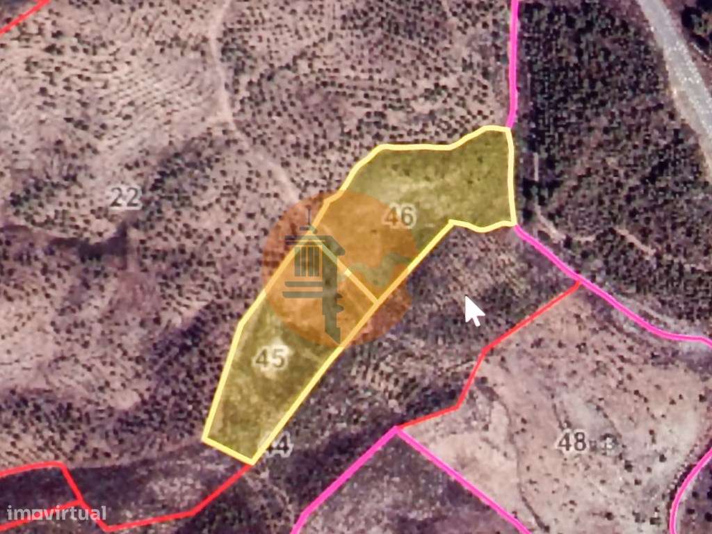 TERRENO RUSTICO COM 21.360 M2 - COM LAGO PRIVADO - VALE DO PEREIRO ... - Grande imagem: 2/37