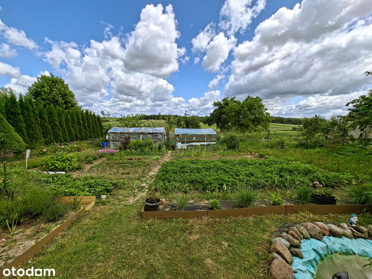 Działka 5200 mkw. z malowniczym widokiem - Udorpie tuż pod Bytowem-4