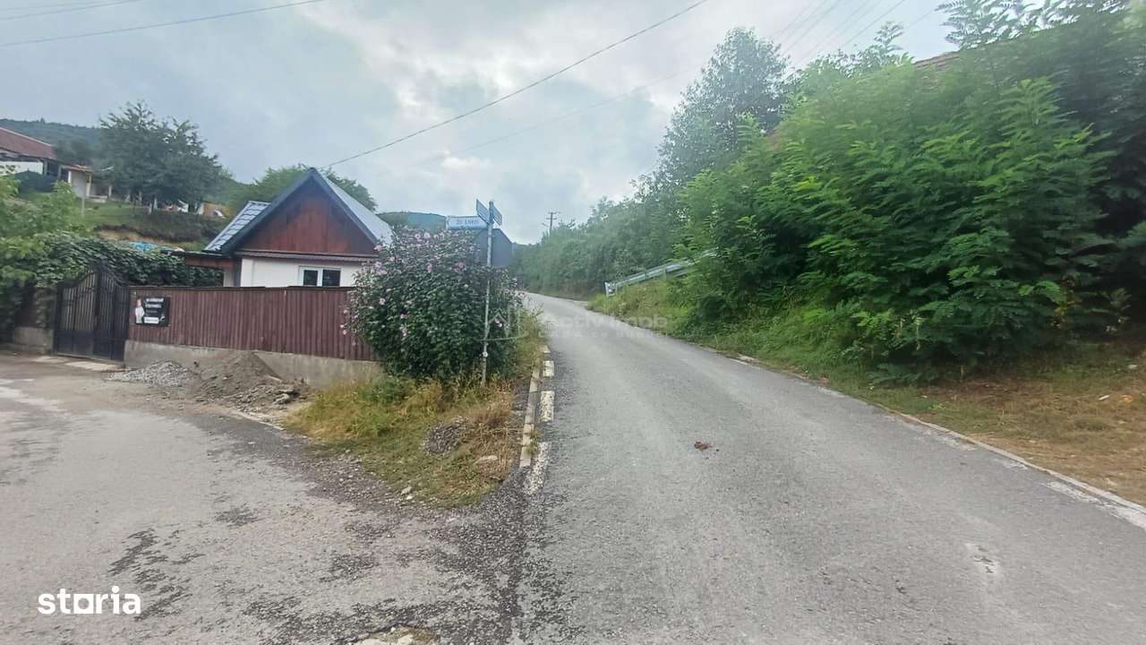 Casa de vanzare in Saliste aproape de Transalpina - Imagine principală: 2/11