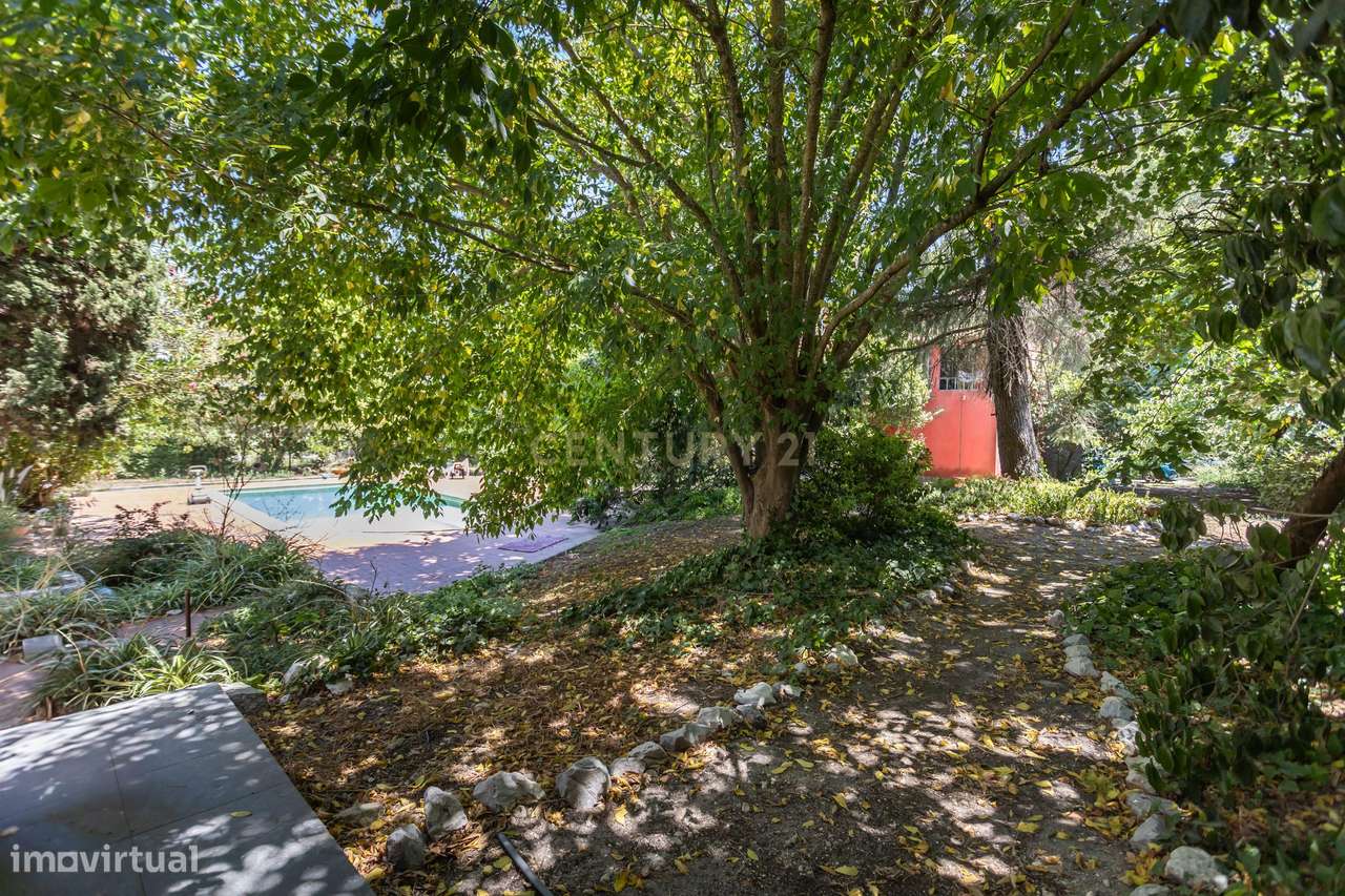 Vila de Prestígio T7+2 com 5.000 m² de Privacidade na Verdizela-58