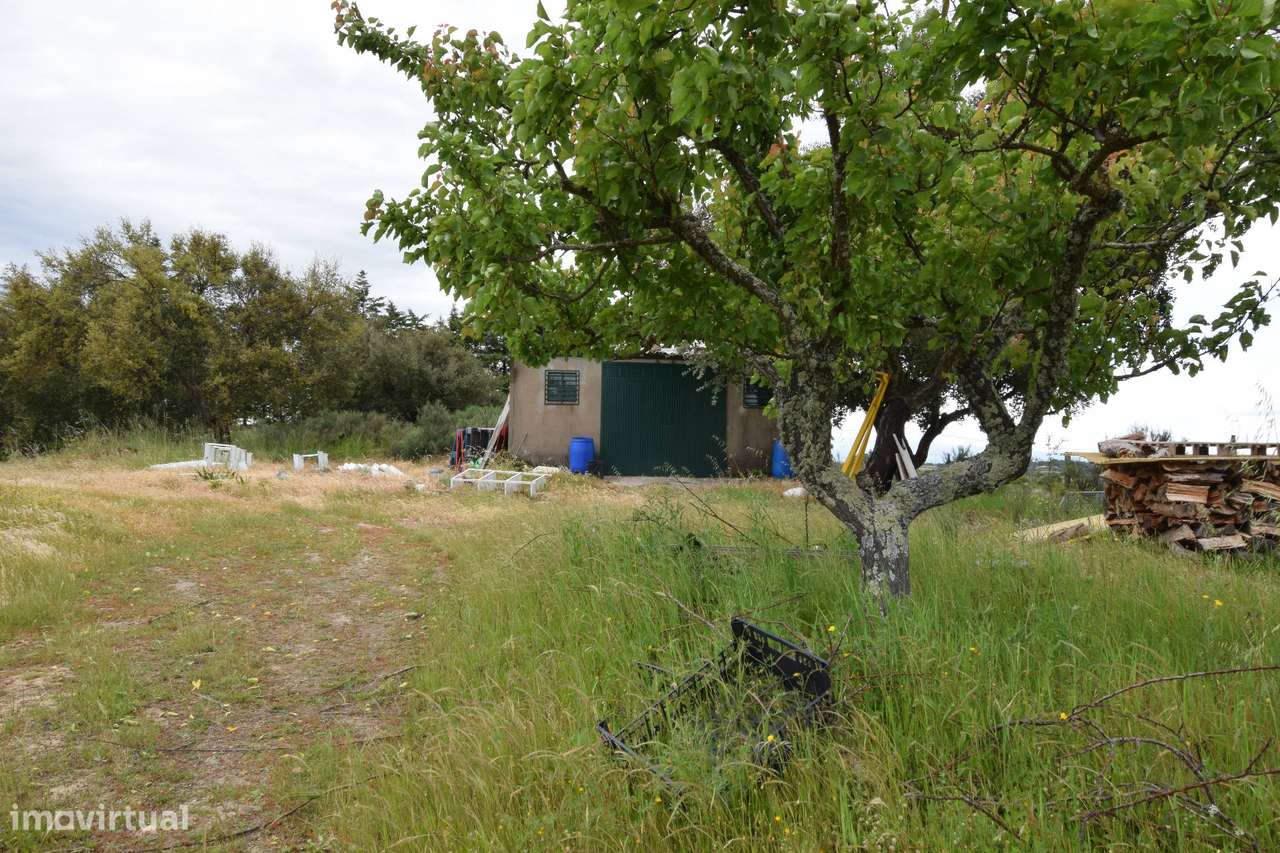 Quinta - Tapada da Misericórdia  - Castelo Branco - Grande imagem: 5/31