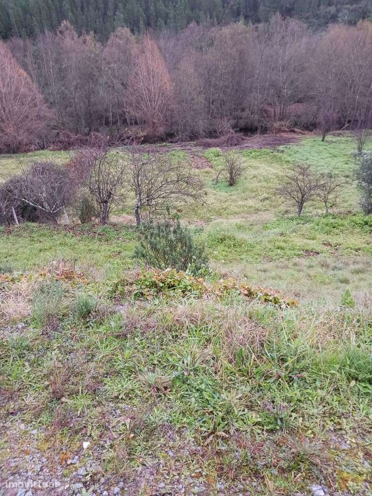 Quintinha - Grande imagem: 2/4