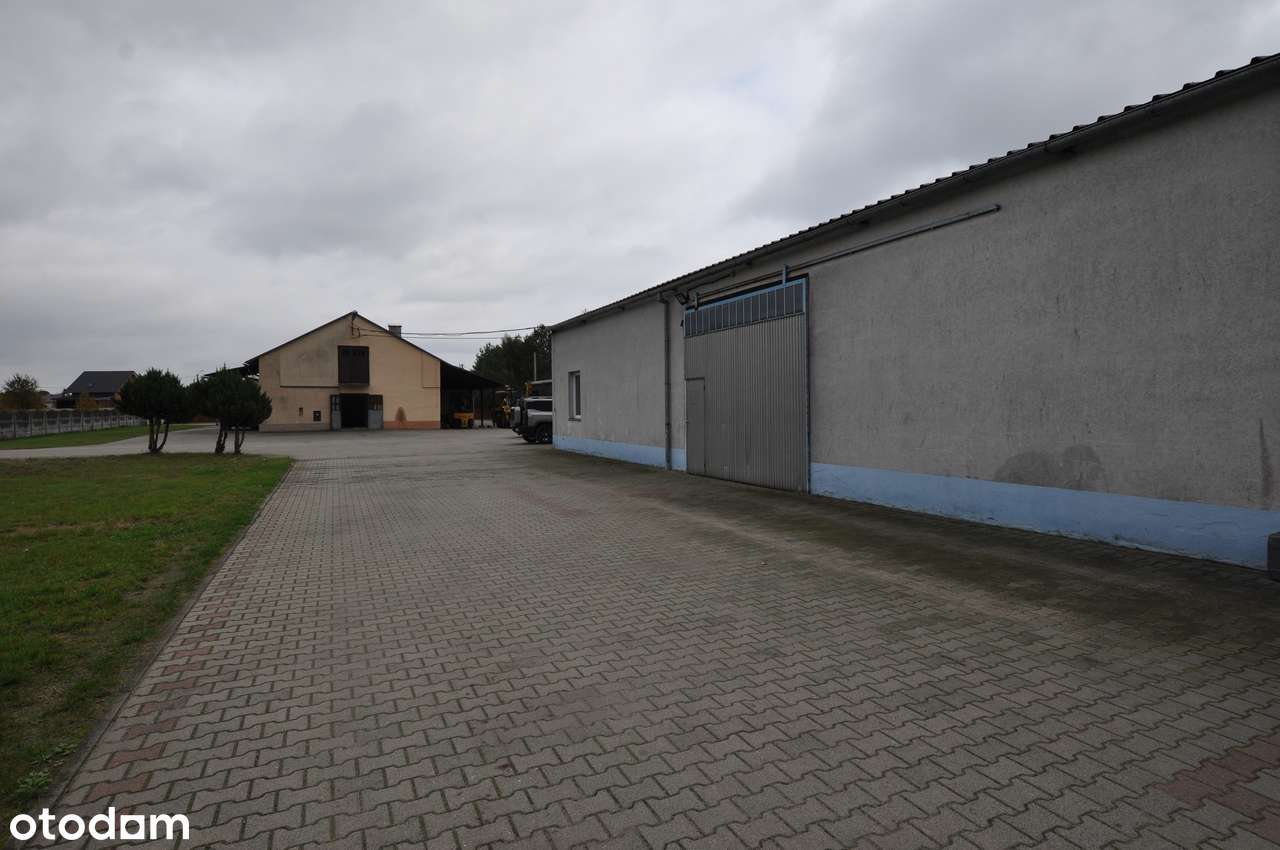 Hala 200+60m2, duży podjazd, 15km od Oławy, Jelcza i Brzegu, ogrzewana - Pełny obrazek: 5/17