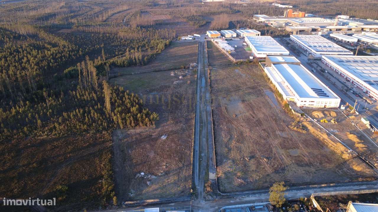 Terreno Industrial para Venda – Zona Industrial de Albergaria-a-Velha-1