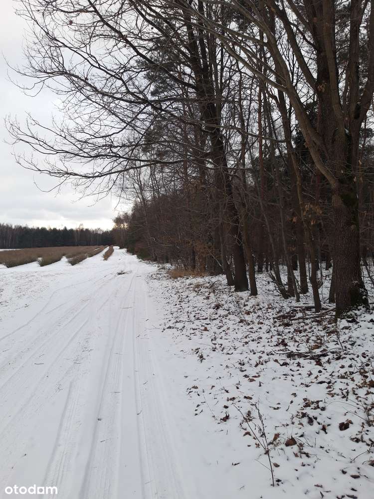 Piękna działka 7 km od Kazimierza - Pełny obrazek: 4/5