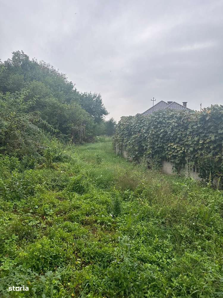 De vanzare teren 2100 mp Dej central - Imagine principală: 3/6