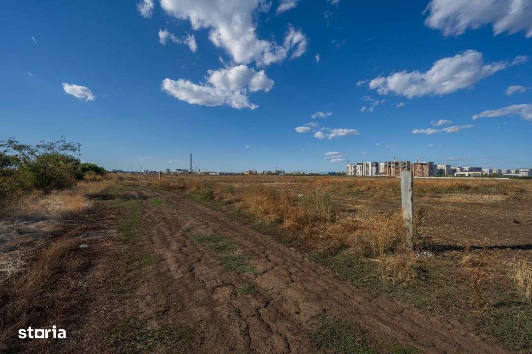 Berceni - Drum Dealu Crisului - INVESTITIE - 7 500 mp - Imagine principală: 4/6