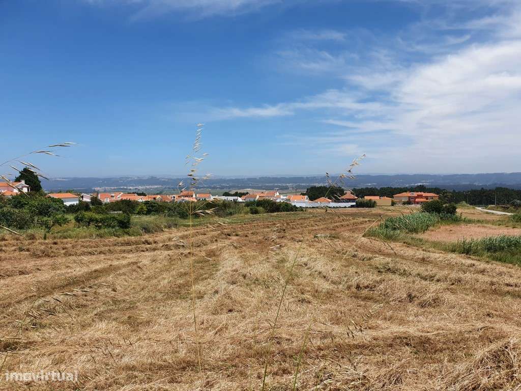 Terreno em Salir do Porto para construção - Grande imagem: 1/8