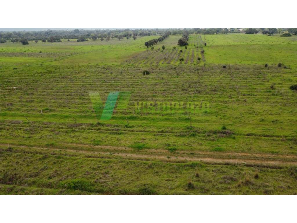 Lote de terreno rústico perto de Paderne, plano, vedado e com vista...-2