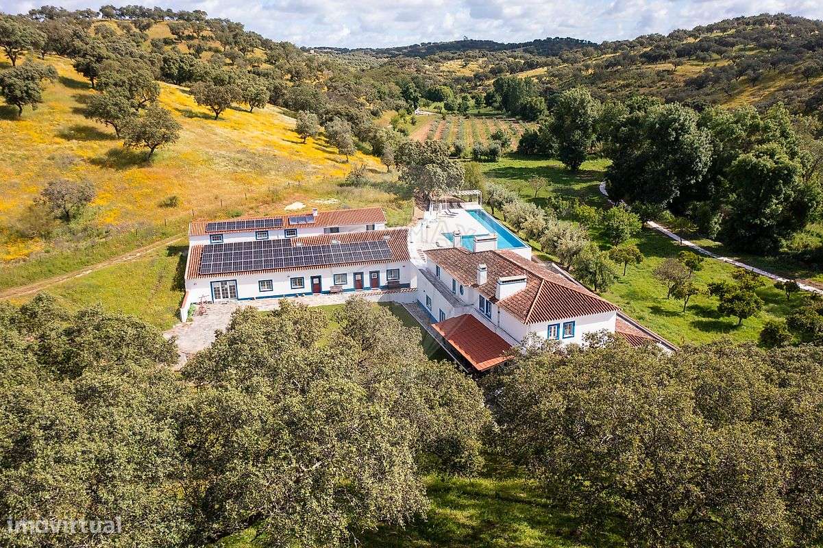 Quinta  para venda - Grande imagem: 5/24