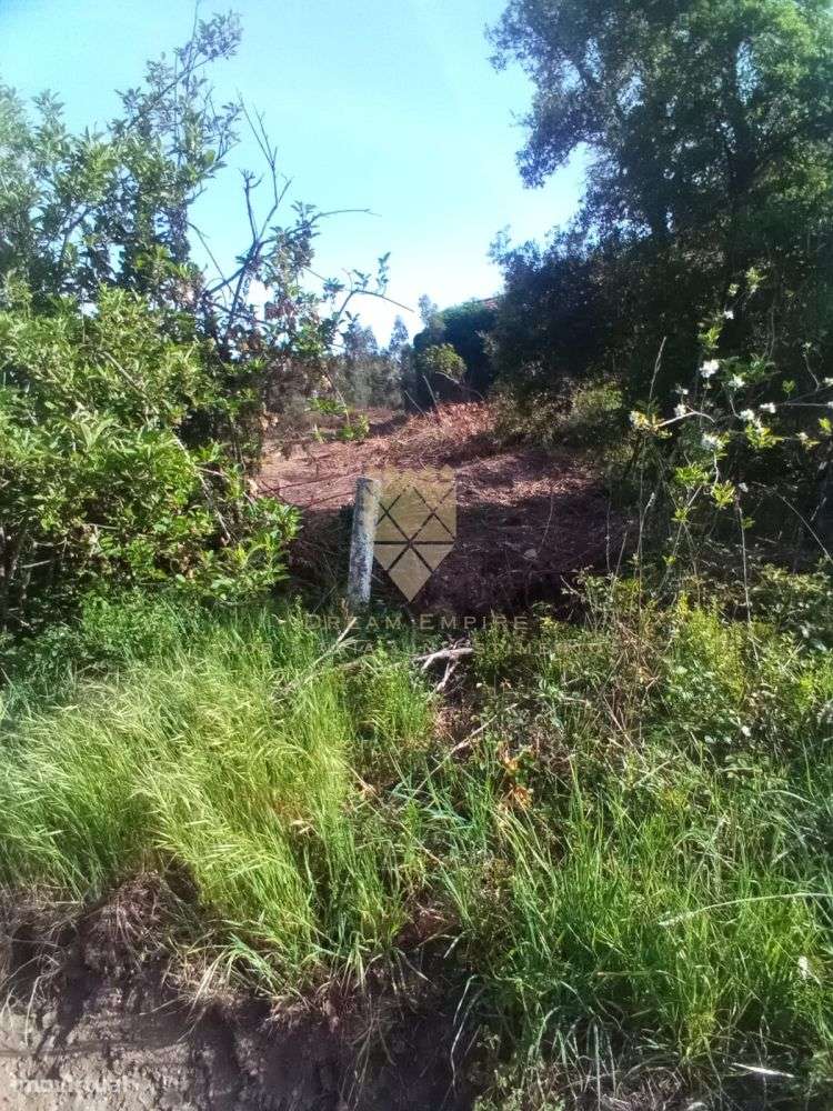 Oportunidade Única: Terreno com 4 Casas para Restauro em Zona de Ref?-13