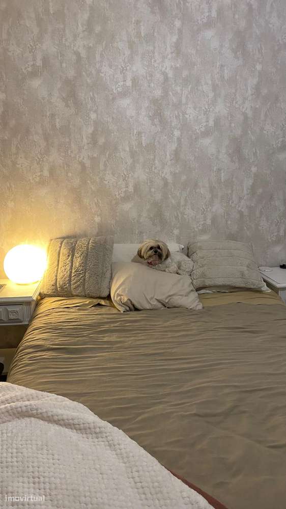 T1 mobilado e equipado para 2 pessoas - Grande imagem: 1/16