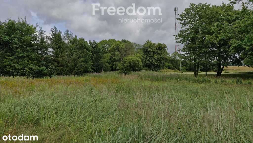 Działka 3 217 m² – cisza i las w zasięgu - Pełny obrazek: 5/16