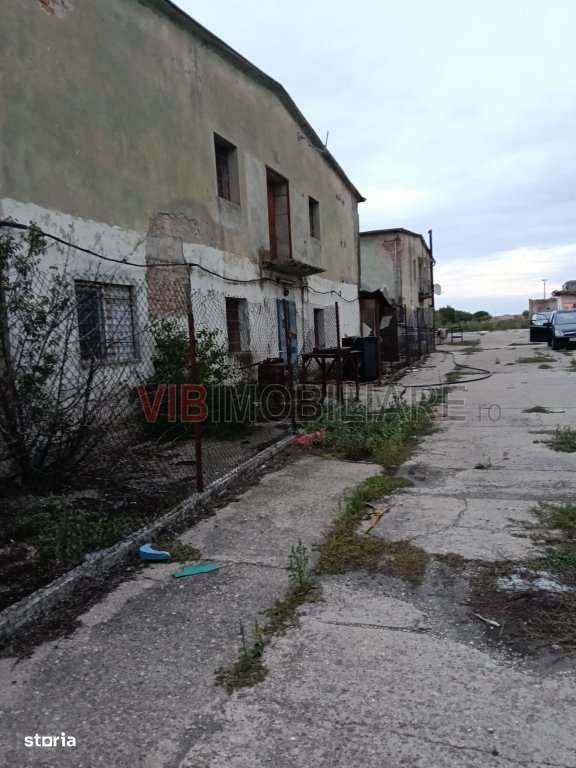 Depozit și hală industrială de vânzare – Orțișoara, complex in - Imagine principală: 5/19