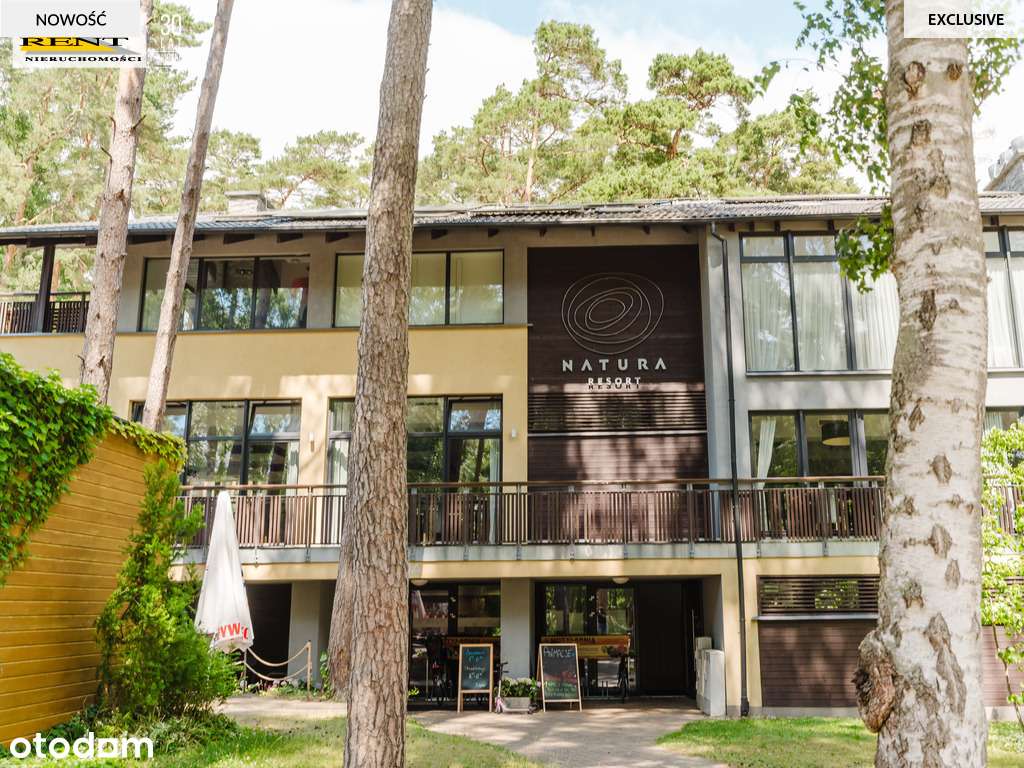 Apartament w środku nadmorskiego lasu-16