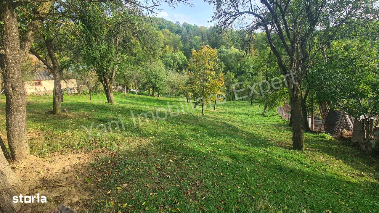 Teren de vânzare în comuna Arefu, județ Argeș.-12