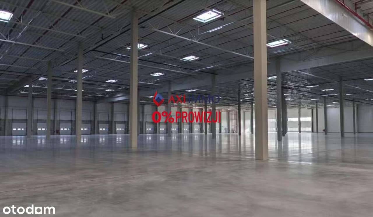 Pow. magazynowa od zaraz, Nadarzyn 6 600 mkw - Pełny obrazek: 4/4