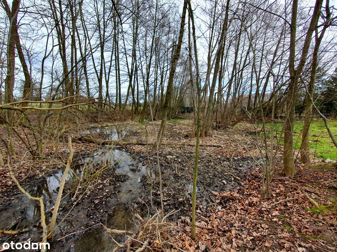 Urokliwa działka budowlana ze stawem pogranicze Łódź / Zgierz - Pełny obrazek: 4/9