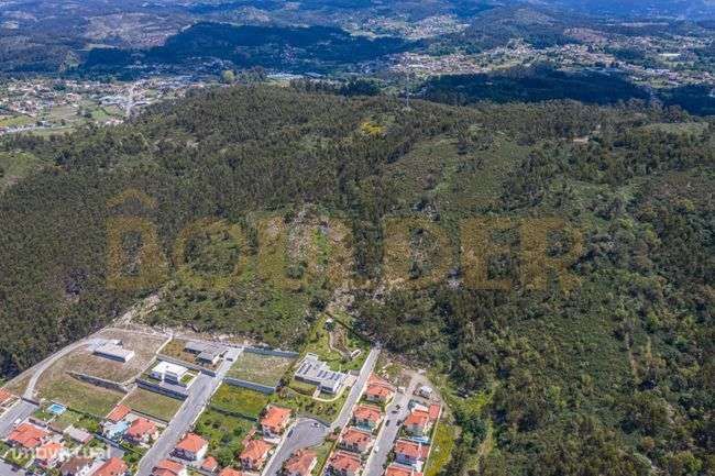 Terreno Florestal em Póvoa de Lanhoso-1