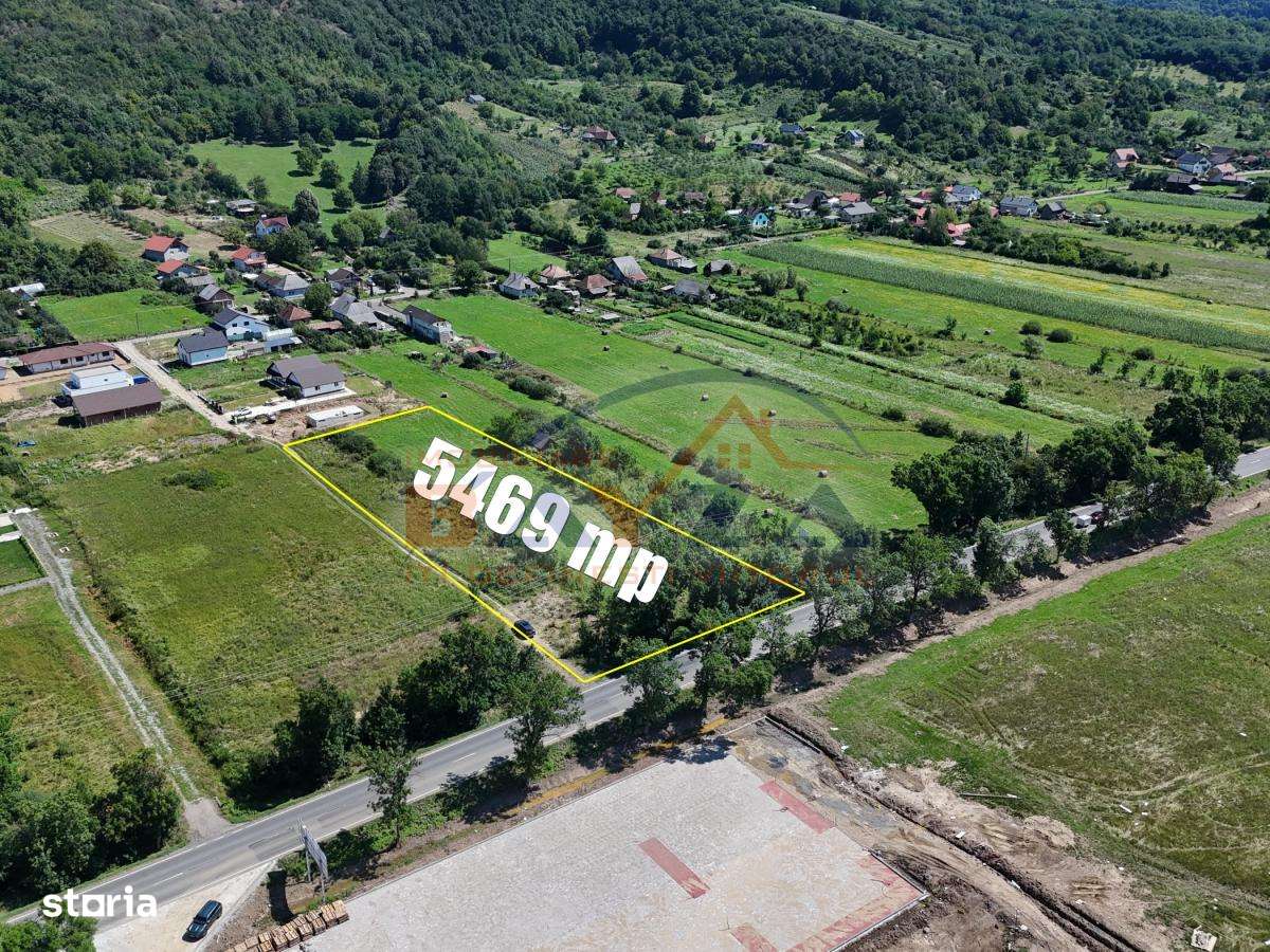 5469 mp intravilan Cicârlău, peste drum de Genezio Palas, Comision 0% - Imagine principală: 4/6