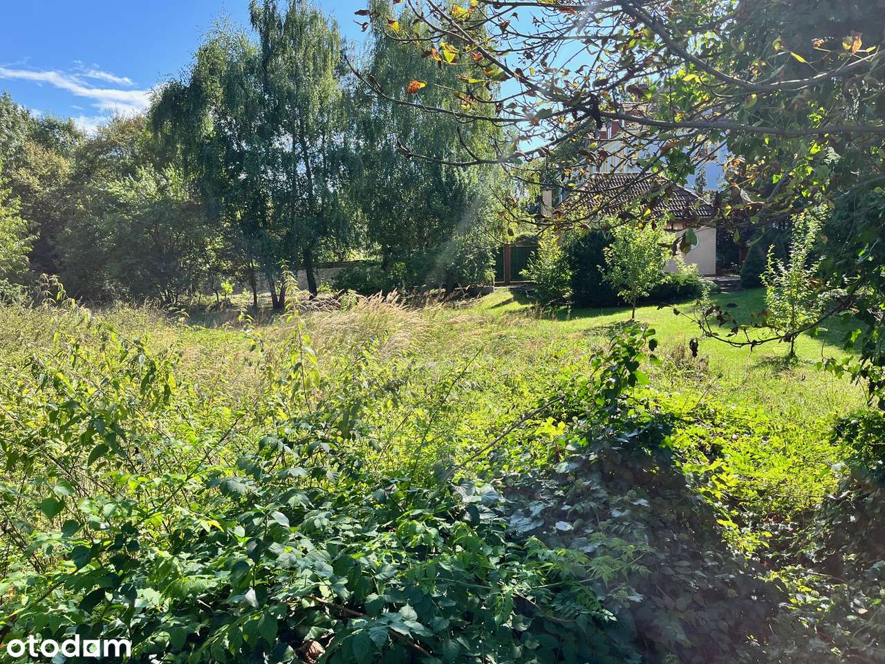 sprzedam działkę Nadolice przy parku możliwy dom lub blok-6