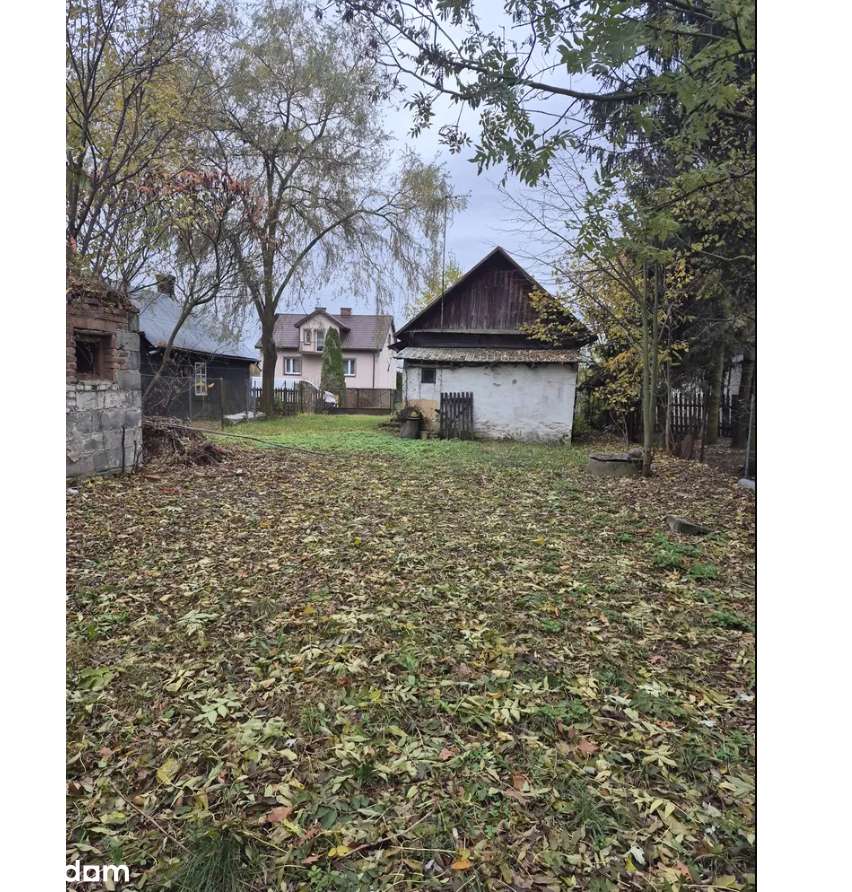 Działka siedliskowa z polem i lasem - Pełny obrazek: 4/4