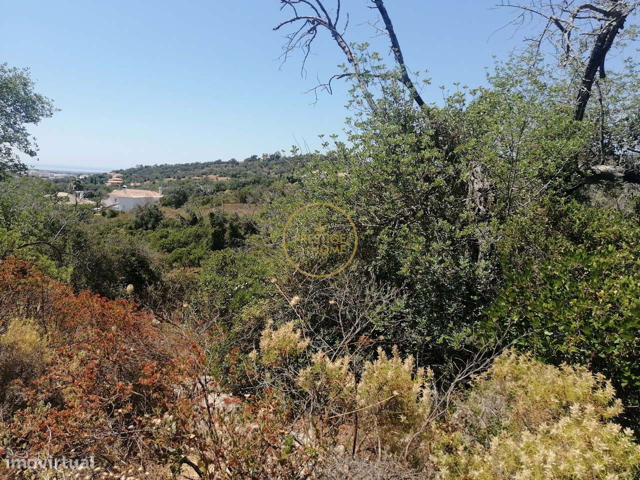 Terreno localizado nos Corgos de Sta Luzia perto de Loulé - Grande imagem: 4/10