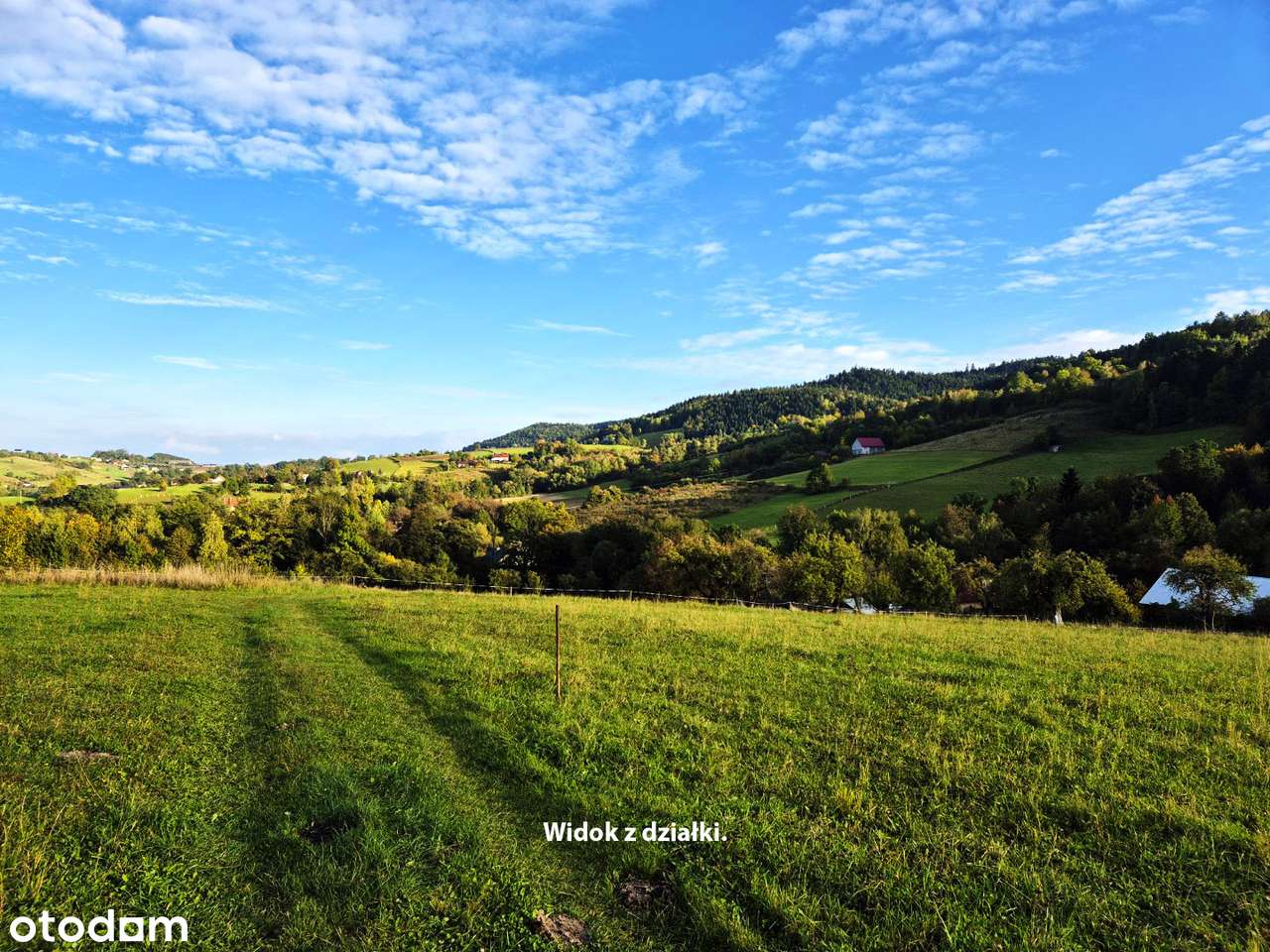 Widok marzeń! Działka na wzgórzu, 15 min od Nowego Sącza, Limanowej.-4