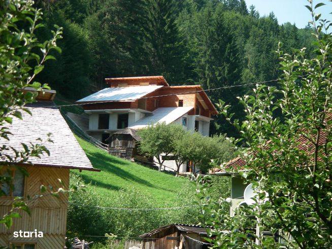 Vila Family/ Pensiune Dambovicioara Arges-0