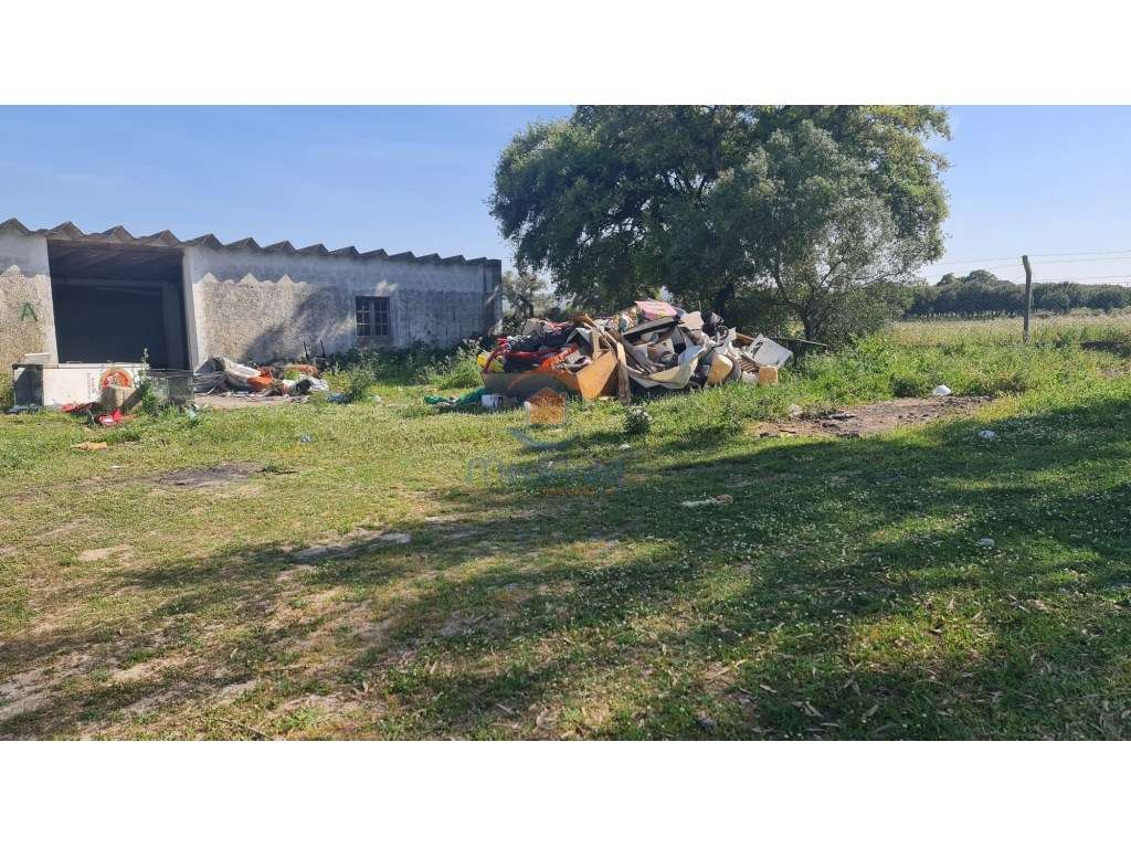 MTM6872 - Quintinha 11.500m2 | Palmela-24