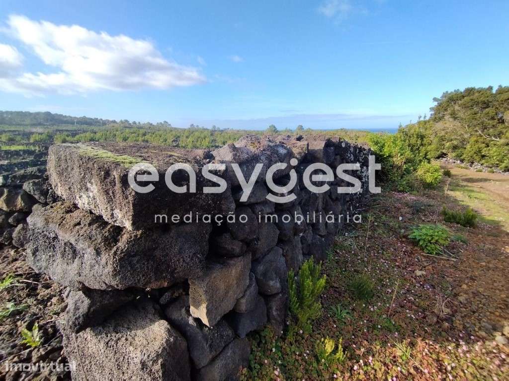 Terreno no 'coração' vitivinícola do Lajido de Santa Luzia no Pico - Grande imagem: 5/22