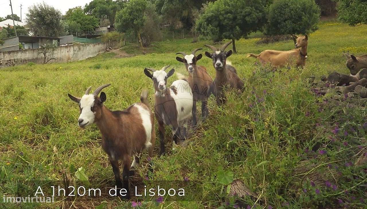 Terreno  para venda - Grande imagem: 4/5