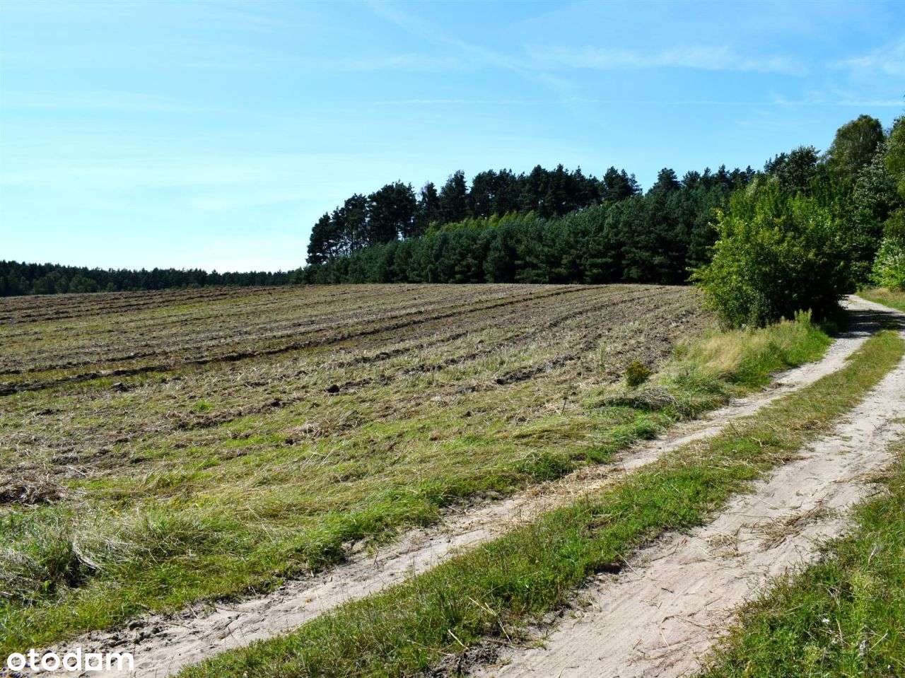 Działka rolna - Ostroróg-12