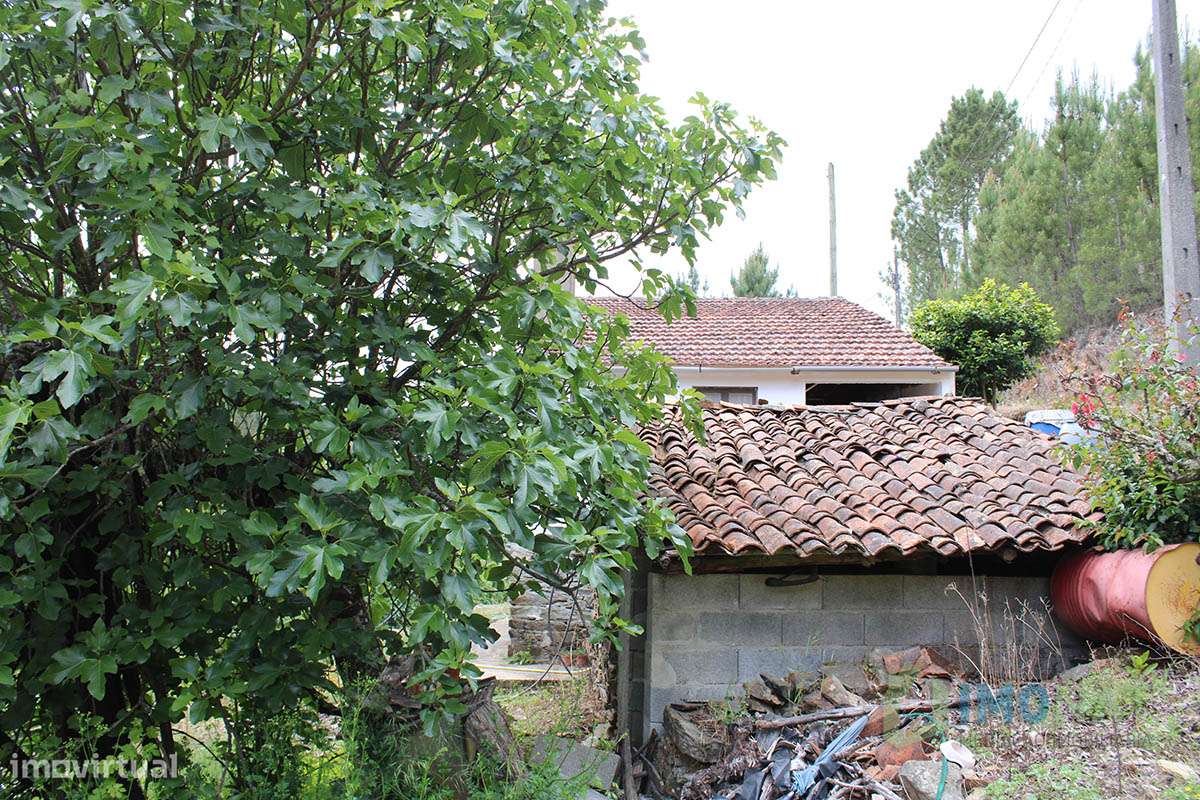 Imóvel Rural-41