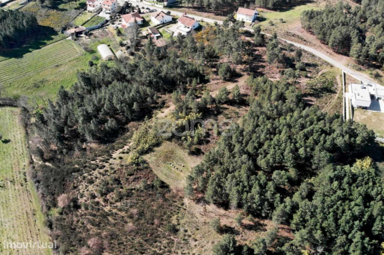 Terreno Samaiões - Urbano - Grande imagem: 4/4