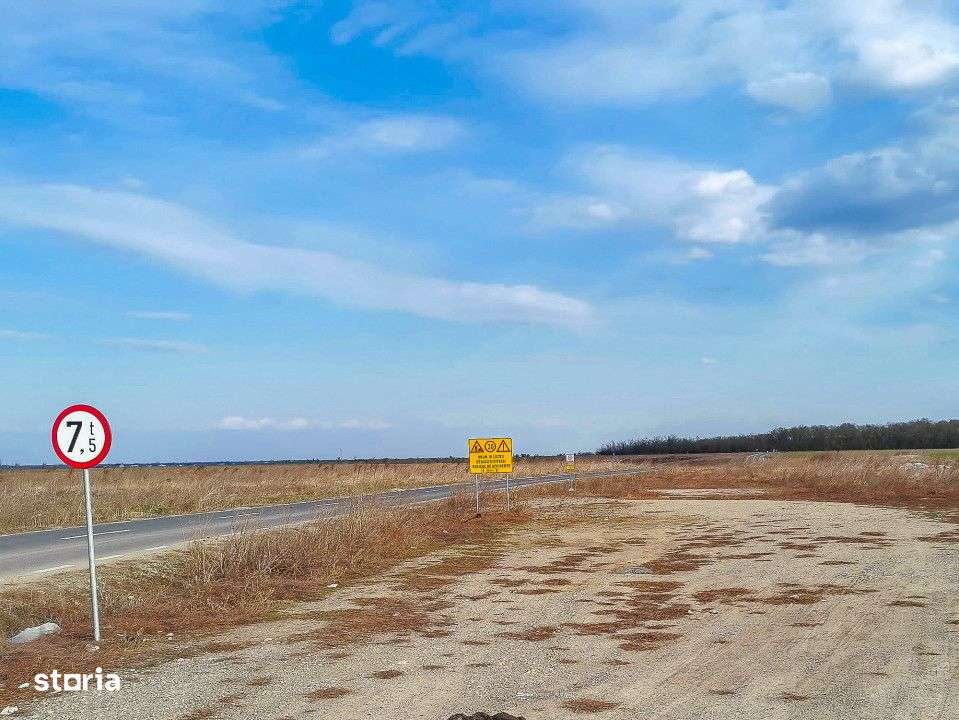 Teren intravilan la asfalt si statie autobuz Ilfov Cernica Posta - Imagine principală: 5/17