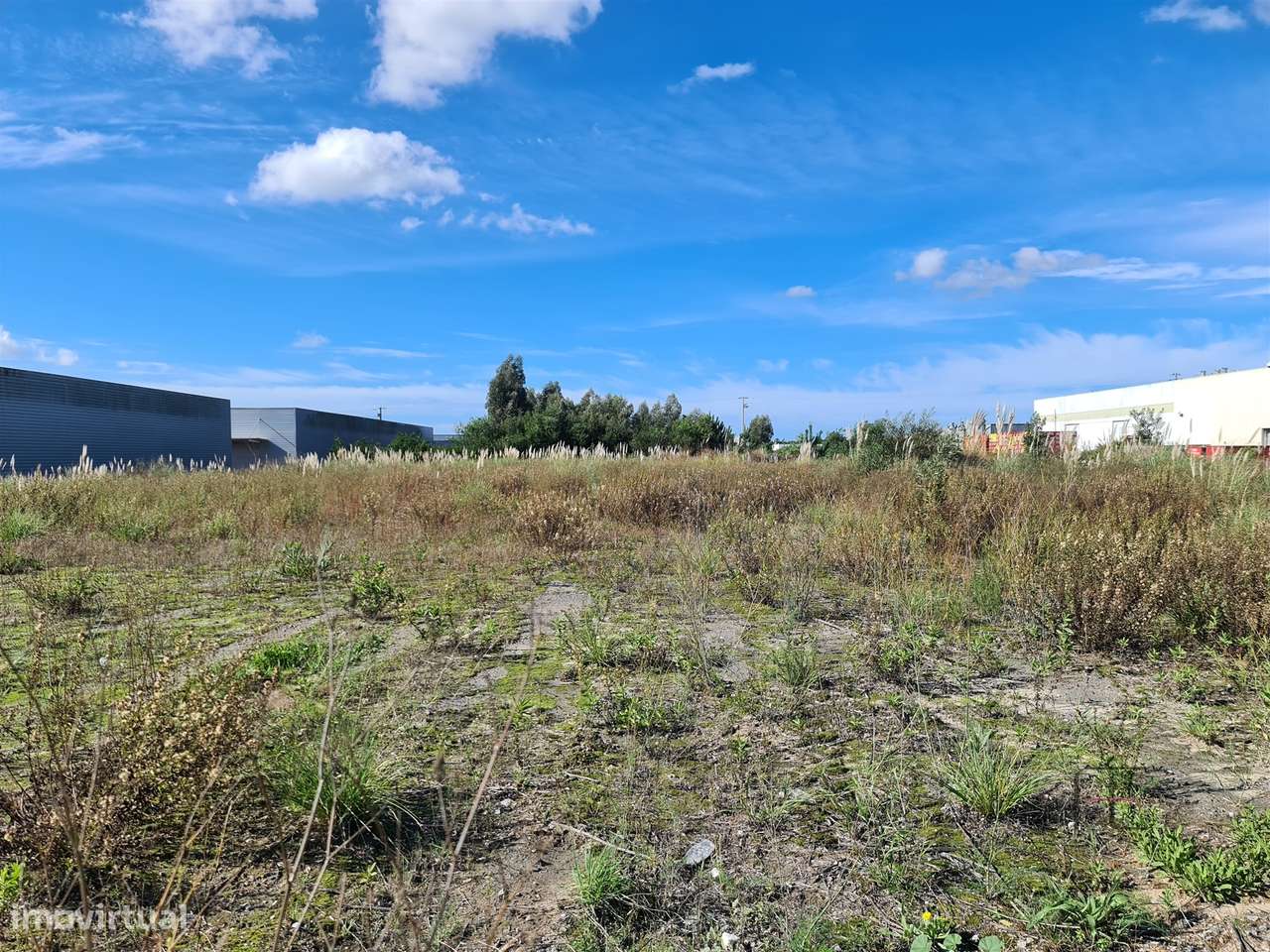 Terreno Industrial Premium em Ovar - Grande imagem: 4/4