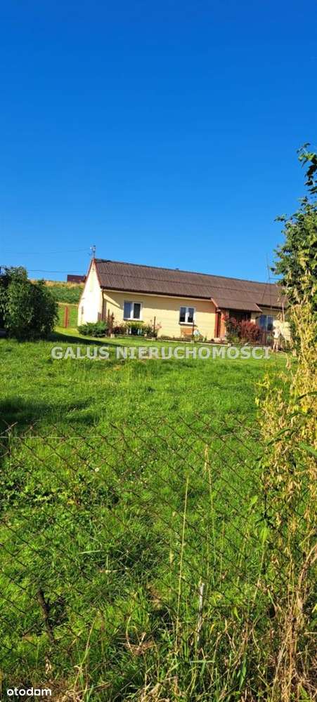 Działka rolna 2,5200 Ha i gospodarstwo-12