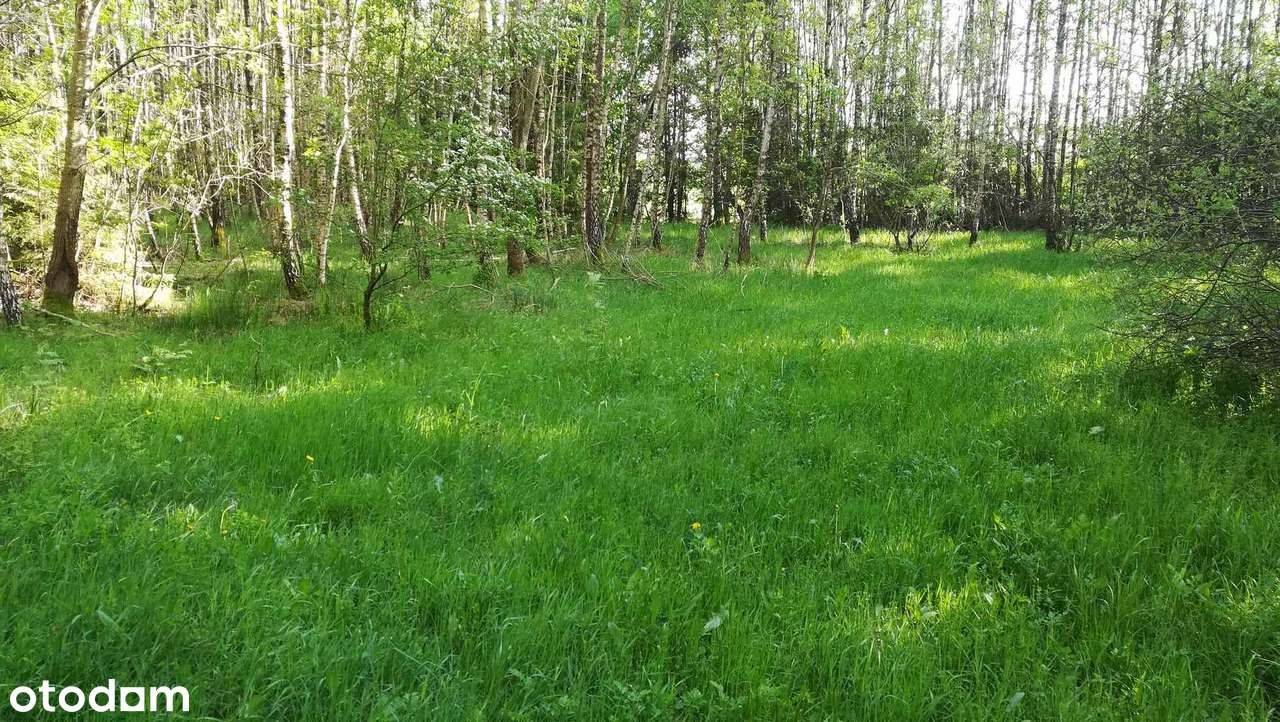 Spokój natury, bliskość miasta – piękna działka pod dom na wsi