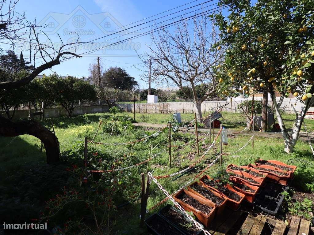 Moradia T3 com PISCINA e terreno com 1200m2-31