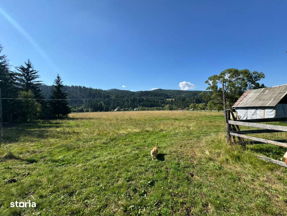 Vanzare 33400 parcelat- 18 loturi - Plaiul Sarului la sosea- microdezv-8