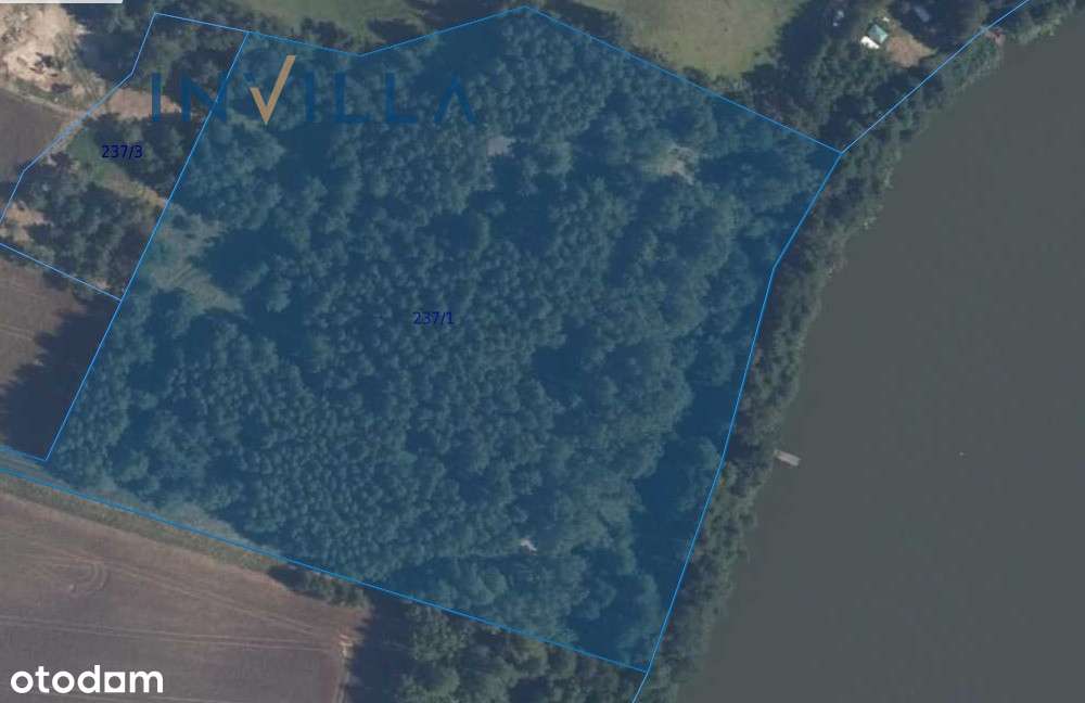 2ha z linią brzegową nieopodal Kościerzyny - Pełny obrazek: 2/2