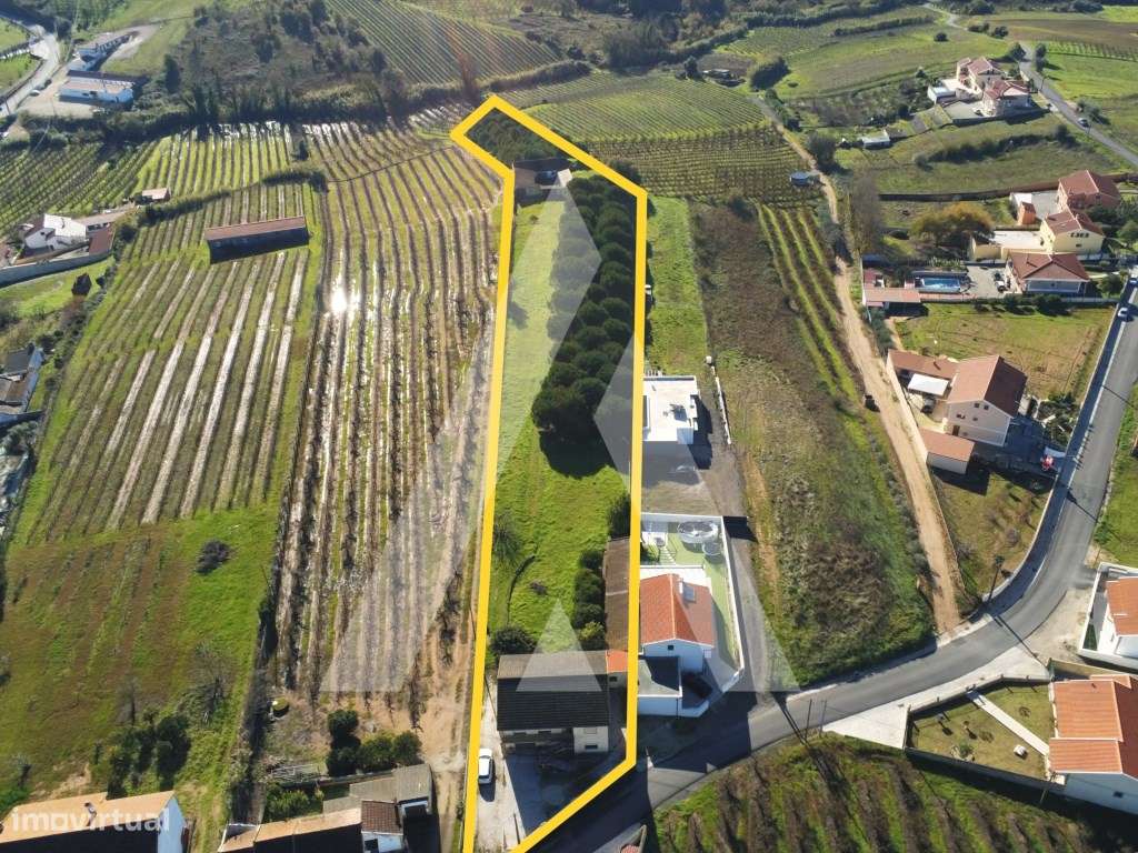 Moradia T4 + T1 com Terreno de 7.800 m² no Cadaval - Vista para a S...-46