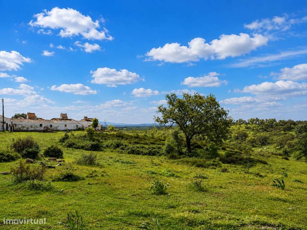 Terreno de 12ha com projeto aprovado em Grândola-18
