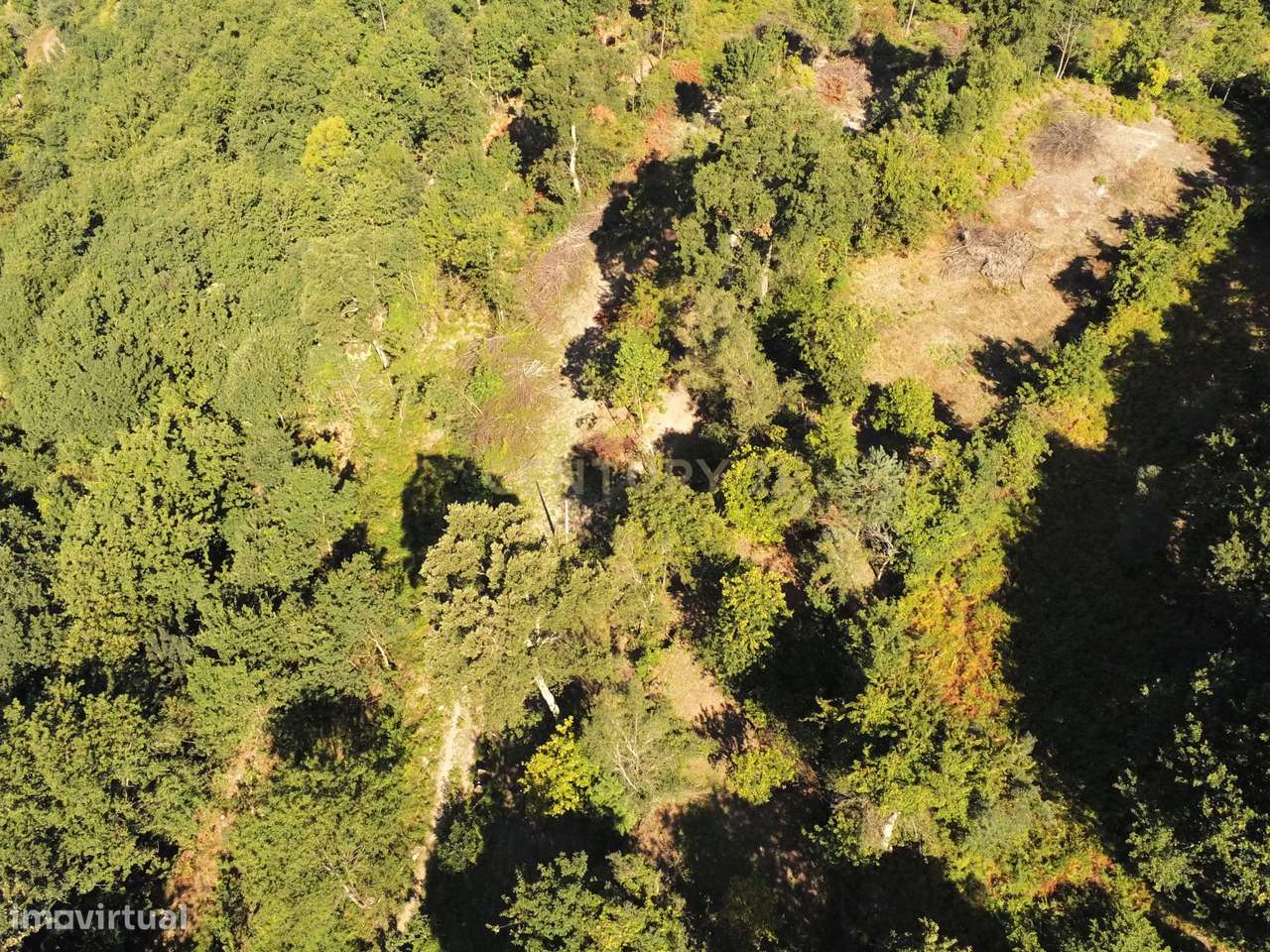 Terreno na zona do Gerês com vistas Rio - Grande imagem: 5/26