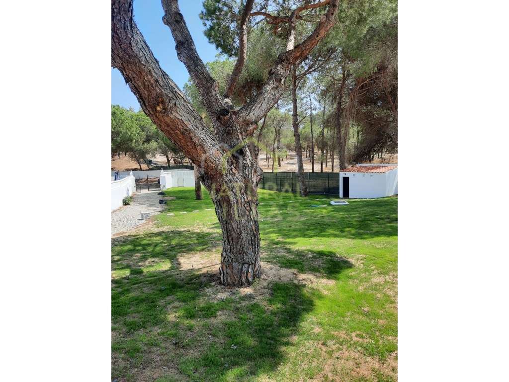 Moradia T5 Renovada, Piscina e Jardim em Vale do Lobo - Grande imagem: 5/33